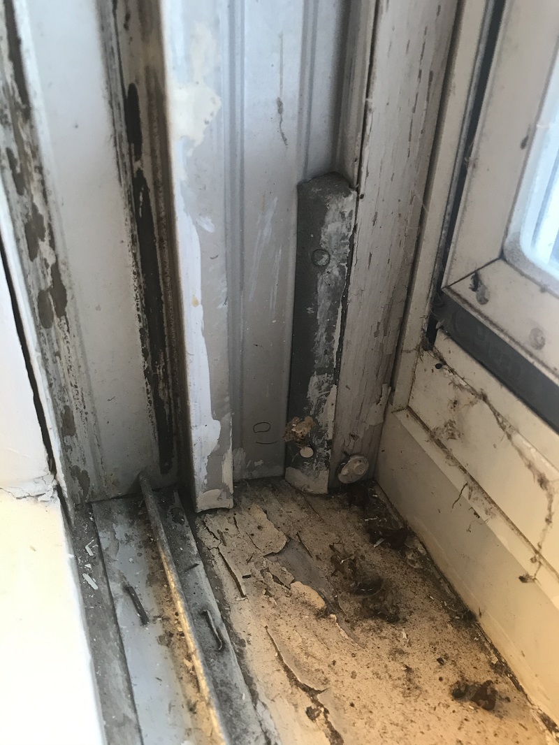 Cheaped paint